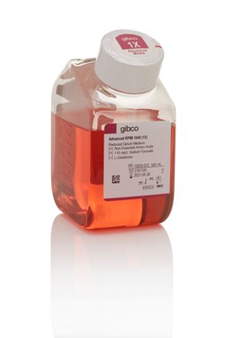Medio RPMI 1640. Estéril con filtro. Con Glucosa, Rojo de fenol, Piruvato sódico, Aminoácidos no esenciales. Sin glutamina, Sin HEPES