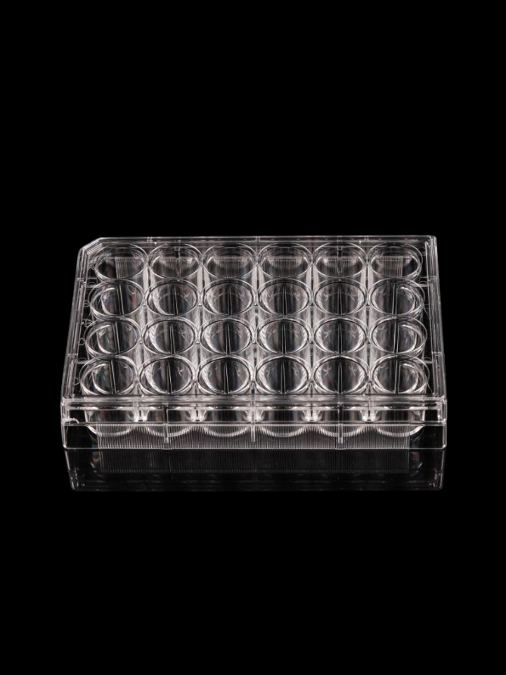 Placa de cultivo celular de 24 pocillos plana tratada estéril, caja con 50 pza