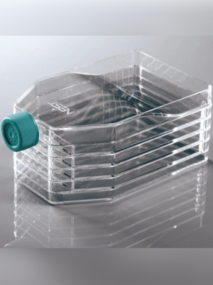 Frasco de cultivo celular de 5 capas Tapa de ventilación Cuello recto TC estéril caja con 8 pza