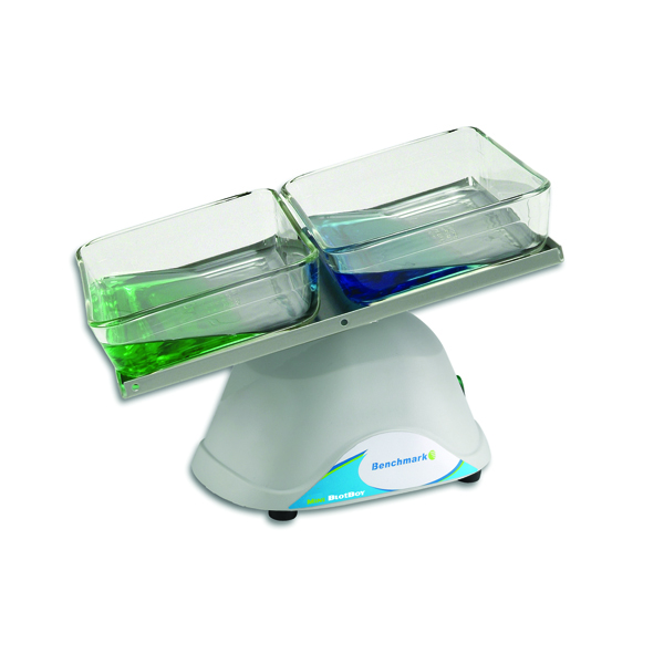 Mini BlotBoy 3D Rocker, velocidad fija, pequeña plataforma de 10